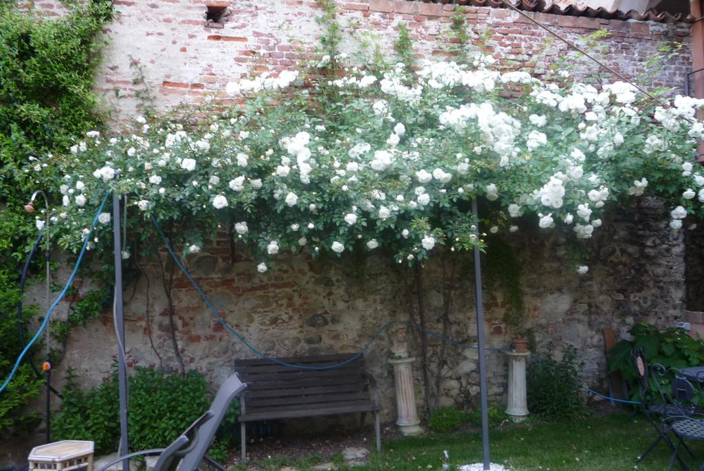 Lori'S Inn Mondovì Buitenkant foto